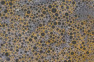 texture orange black and white green bubbles on the surface