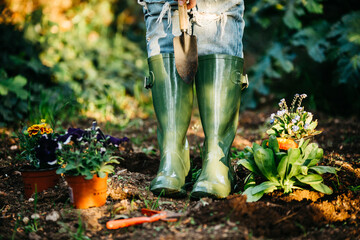 Gardener in rubber boots beside flowers in pots.
