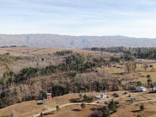 Vista aérea de árboles con casas al frente y montañas al fondo. 