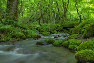 Obraz premium 流水