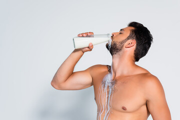 muscular and bearded man drinking fresh milk on grey