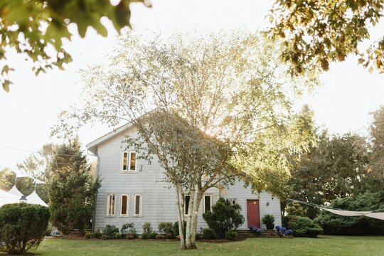 Little Blue House