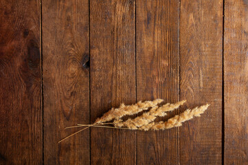 dried flowers in a minimalist style lie on a brown wooden natural background