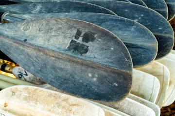 A lot of old and worn kayak paddles.