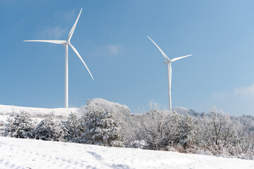 Fototapeta premium Wind turbines on the snow