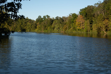 Lake with a tree line and kayakers 