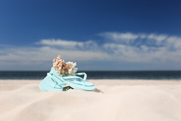 Stylish flip flops and beautiful coral on sand near sea, space for text. Beach accessories for summer vacation