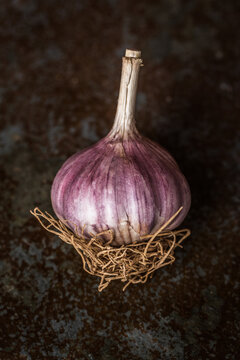 garlic