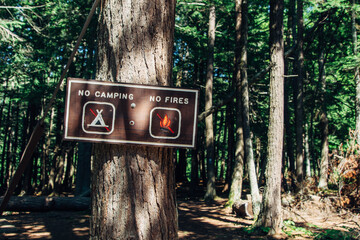 No camping and fire sign in a forest