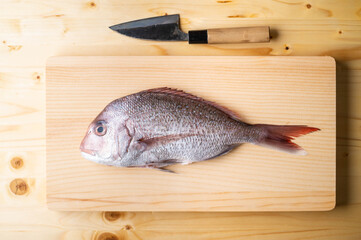 Tai, japanese seabream on wooden cutting board