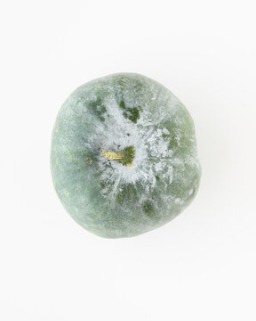 winter melon on white background