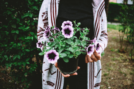 Holding flowers