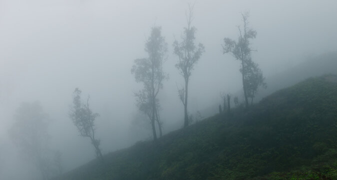 Misty landscape on volcano
