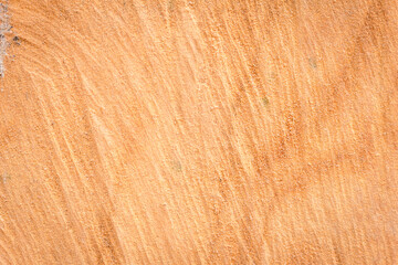 Tree bark close up texture background