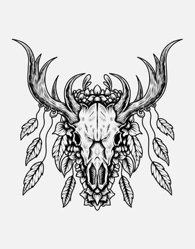 Deer skull on white background-vector