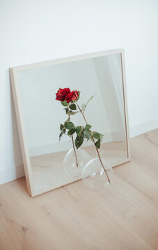 red rose in a jar reflected in a mirror