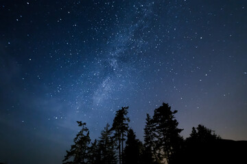 Beautiful milky way starry night sky with silhouetted trees. 4K 24FPS.