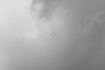 flying over the fog