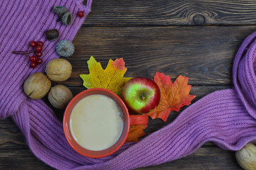 Cozy autumn morning and breakfast, warming drink, warm scarf cocoa apples and nuts top view concept of autumn food and day blogodareniyab prevention of colds and diseases in the cold seasonb vitamins 