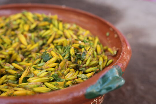 Flor de sabila 