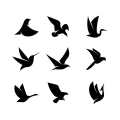 Fototapeta na wymiar Illustration vector graphic template of bird silhouette logo