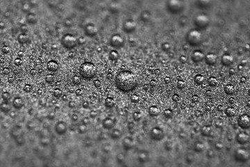 Abstract gray texture with water drops and metal surface close-up. Beautiful bright droplets shot...