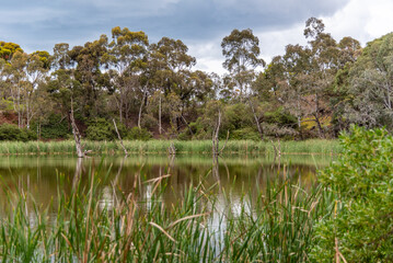 Newport lake, the area was created from a former Bluestone Quarry and is a Sanctuary for Waterbirds & Wildlife.