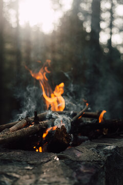 Fire in nature
