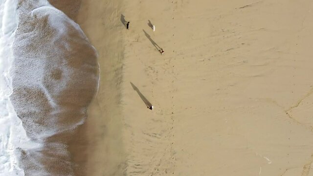Mujer recorriendo la playa cerritos con sus perros en M&eacute;xico.