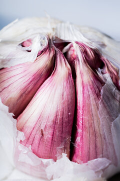 Garlic bulb closeup.