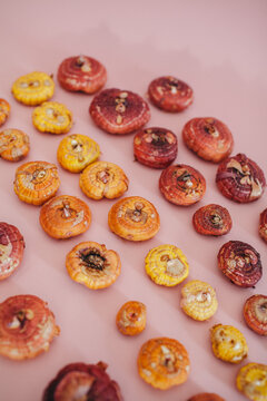 Gladiolus seeds on pink background