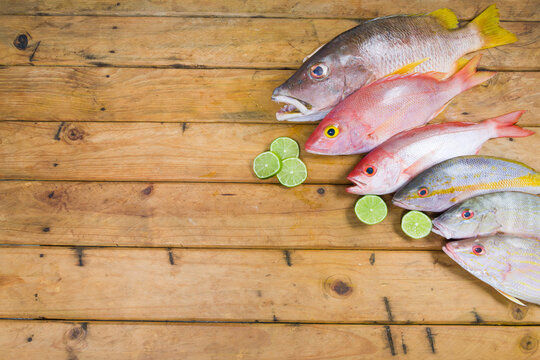 Healthy food themes. Tropical Fishes and Sliced lemons on a wooden table in rustic kitchen