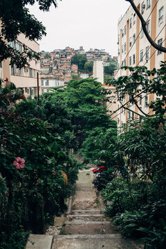Narrow street with lots of greenery