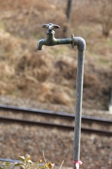 屋外に立つ蛇口