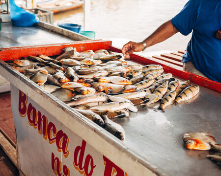 Fresh fish on sale near Amazon