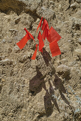 A cluster of red flags on a hill..