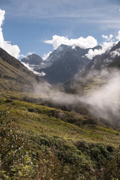Valley of Flowers