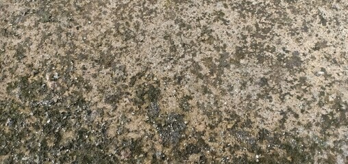Old cement brown and gray background on the wall vintage style
