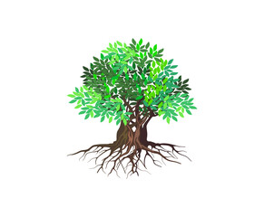 Tree and roots vector illustrations, ancient oak and mangrove tree.