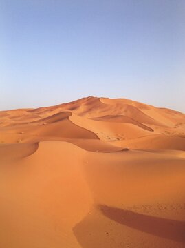 The Sand Dunes of the Sahara Desert