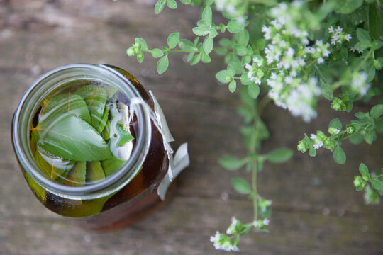 Sun Tea with Mint in the Garden