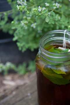 Sun Tea with Mint in the Garden