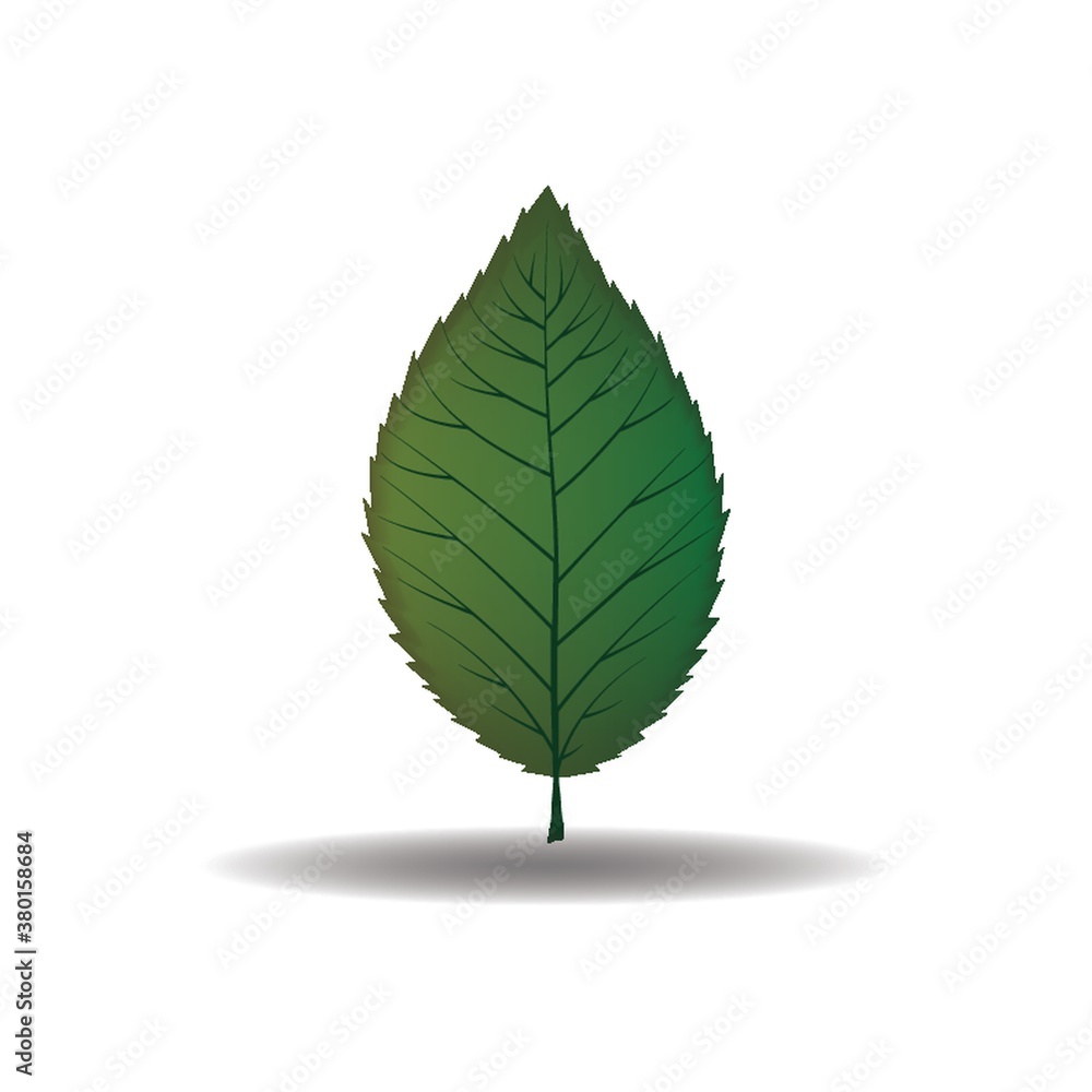 Sticker leaf icon