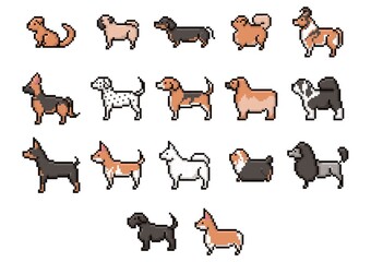 collection of dogs