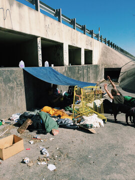 Bum Camp