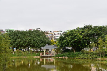 Fototapeta premium The park in Guangzhou, China