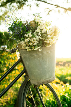 Bicycle with flowers