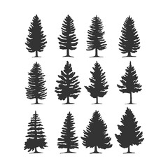 Naklejka na ściany i meble pine tree vector silhouette illustration. good for nature design or decoration template. simple grey color