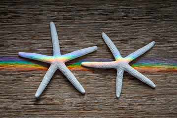 Rainbow light on Starfish on wooden background