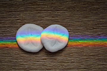 Rainbow light on Sand dollars n wooden background